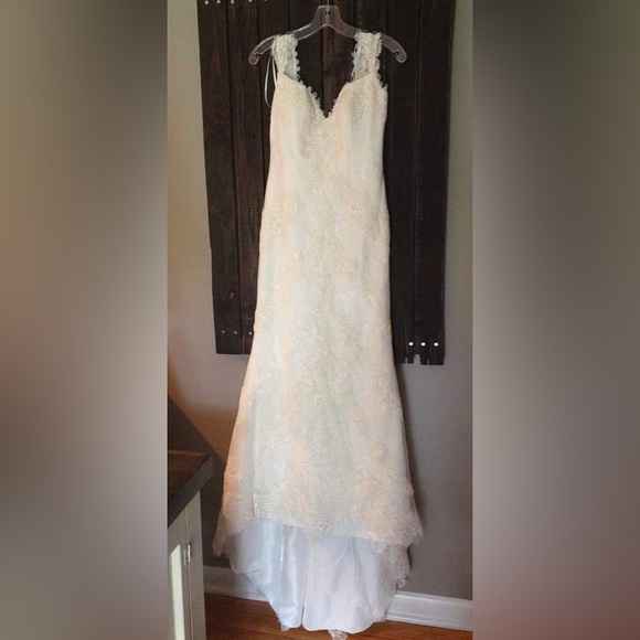 Pronovias Barcelona Beautiful Lace Wedding Gown Never Worn Size 8